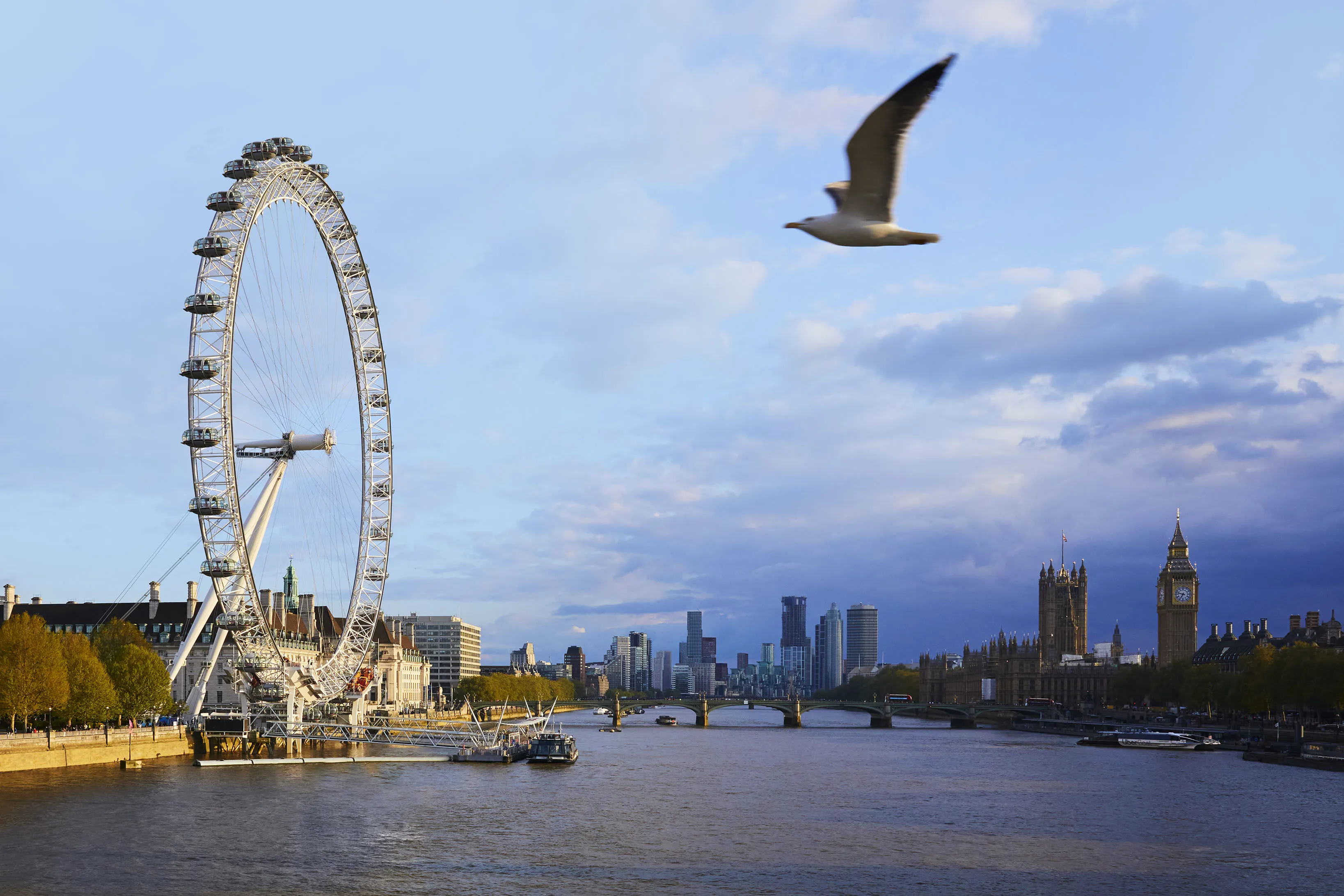 london eye